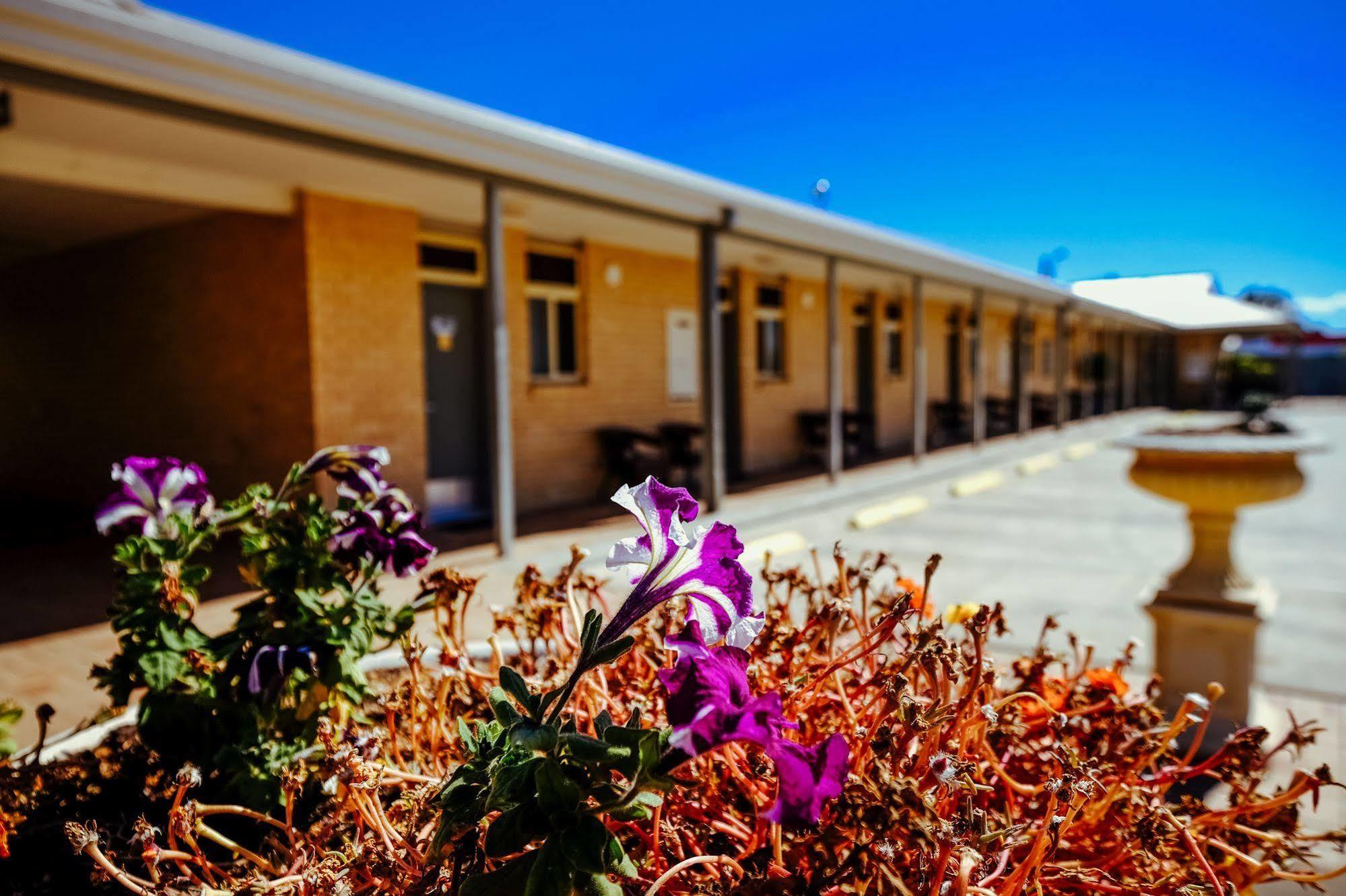 Club Motor Inn Narrabri Exteriör bild